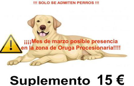 Casa Rural Crisol Spa - Photo 5