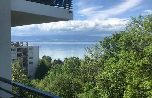 Appartement d'exception - Vue panoramique sur lac - Foto 15