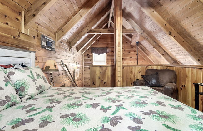 Bearly Gnomey - Foto 2