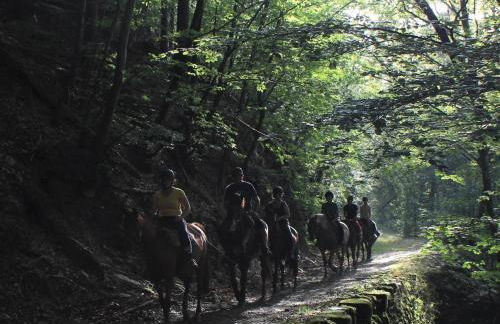 Les Hauts de Saint Privat - Foto 58