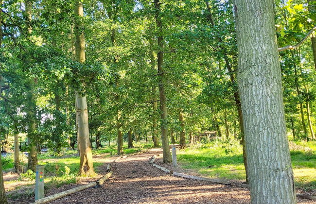 Hay's Wood Retreat - Foto 49