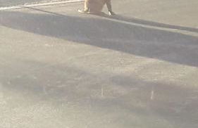 Apartamentos Sevilla - Foto 66