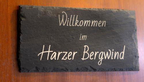 FeWo Harzer Bergwind Sankt Andreasberg, 1 Hund bis 30Kg willkommen, große eingezäunte Terrasse mit Gasgrill - Foto 2