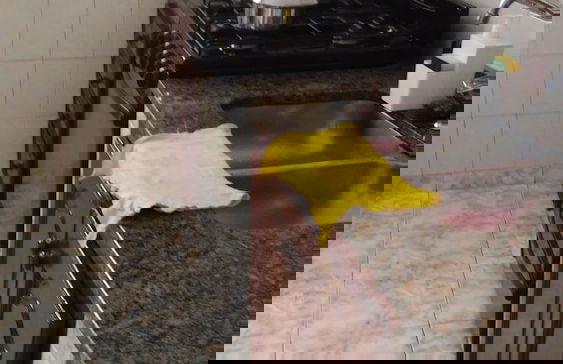 Departamento Urquiza - Photo 21