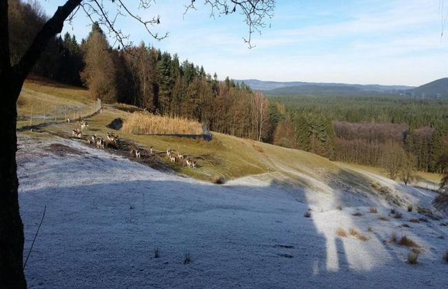 Wonderful Apartment With Barrel Sauna - Foto 35