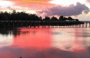 Chalet sul Trasimeno - Photo 15