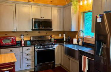 Mountain Cabin & Creek-Front Nature Retreat NC - Foto 28