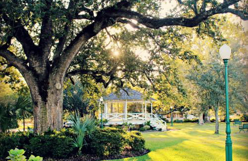 Artsy Downtown Retreat w Hot Tub - Foto 51