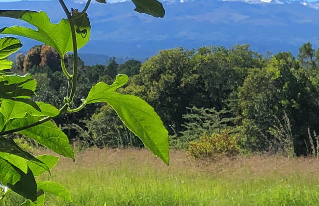 Dream the days away - The Rustic Barn - Foto 37