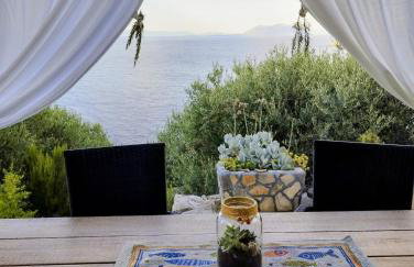 House on Punta - Photo 2