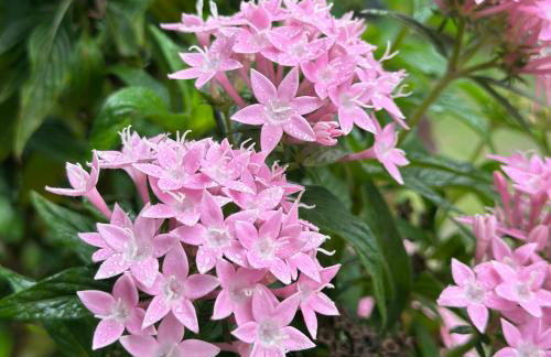 Pousada Lagoa do Rosa - Foto 31