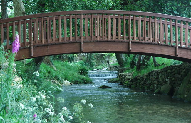 Os Migueliños - Foto 22