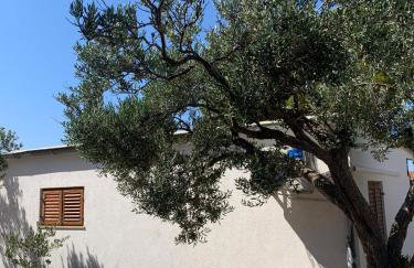 HOUSE Kod dide - Foto 66