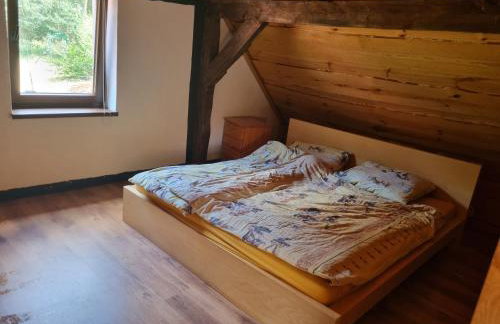 Dom wakacyjny nad jeziorem Jodłów - Foto 9