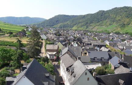 Ferienwohnungen Am Bruttiger Moselsteig - Foto 62