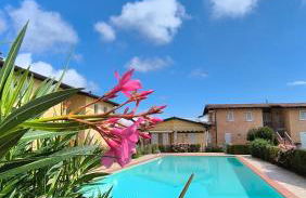 Apartment Dragonfly - Foto 1