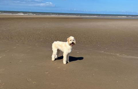 Lyons lido Lovely modern 3 bedroom Caravan - Foto 15