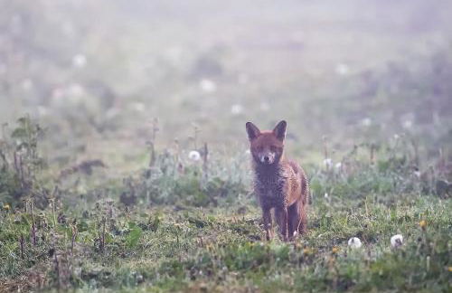 Soulton Hall - Foto 16