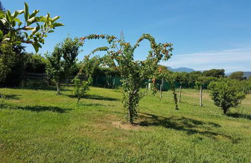 Monica di Sorbo - Foto 15