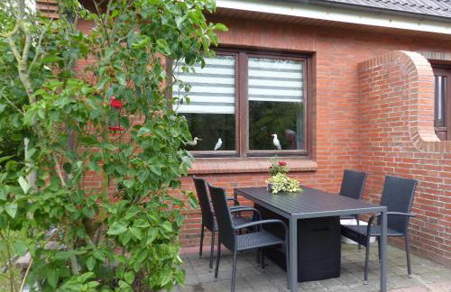 Midlum Zaunkönig - Foto 29