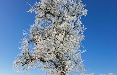 Steewer Landhaus gemütliche Ferienwohnung bis 6 Pers in ruhiger Ortsrandlage - Foto 68