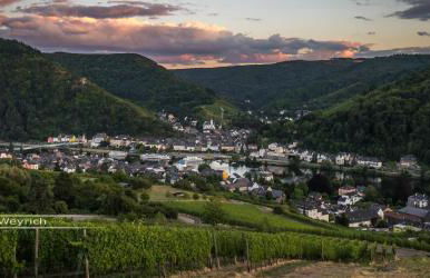 Ferienweingut Göbel - Foto 2