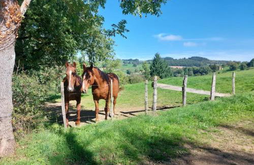 Gîte Mascotte - Foto 15
