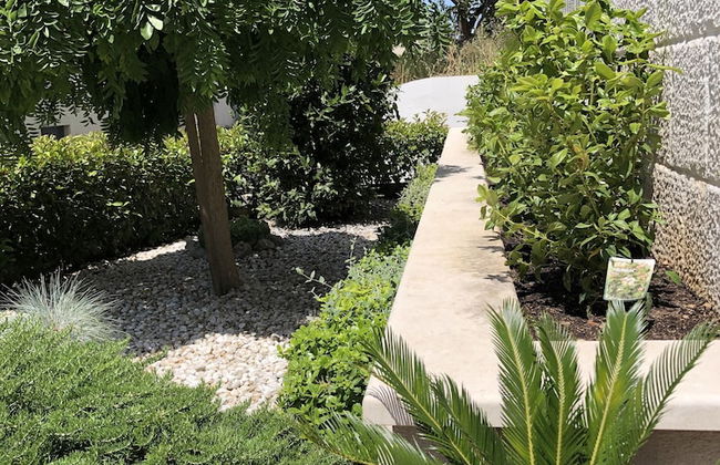 Apartments SVI-MI - Foto 27