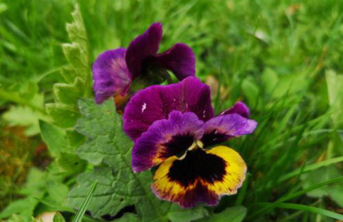 Mazurski Staw - Foto 56