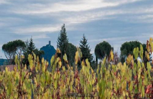 Huge Holiday Home in Marina di Castagneto Carducci near Sea - Foto 85