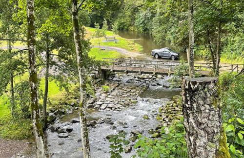 Manderscheid - Foto 28