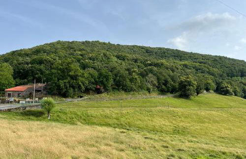 Casa Tome A Teixeira - Ribeira Sacra - Foto 24