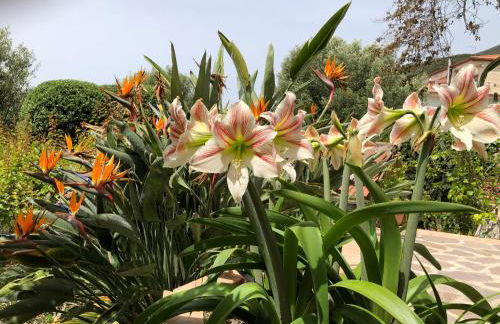 Il Vicolo Palinuro - Photo 34