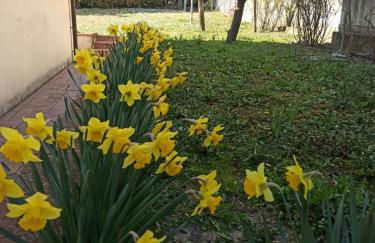 Casa Furia - Foto 42