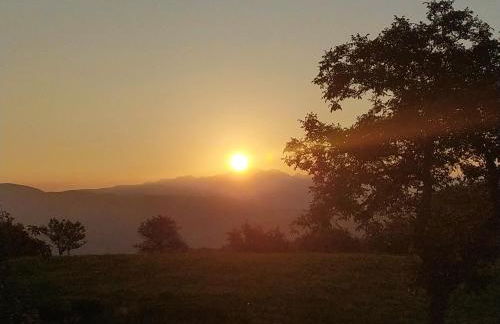 Paradise Apartments Paganella - Foto 21