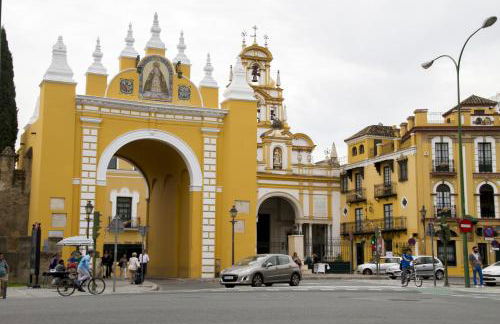 Macarena Home - Foto 19