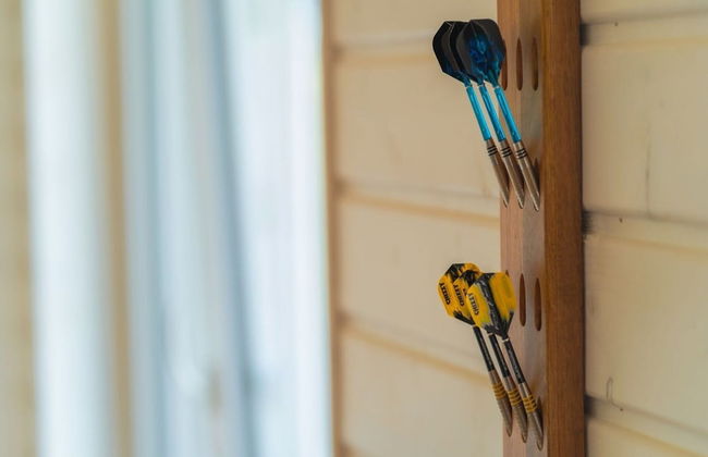 Ferienhaus mit Pool und Sauna am Duemmer See - Foto 38