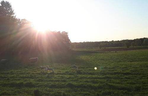 Schöne komplette Ferienwohnung in Wesel - Foto 21