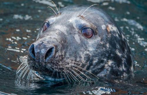 The Steading - Foto 31