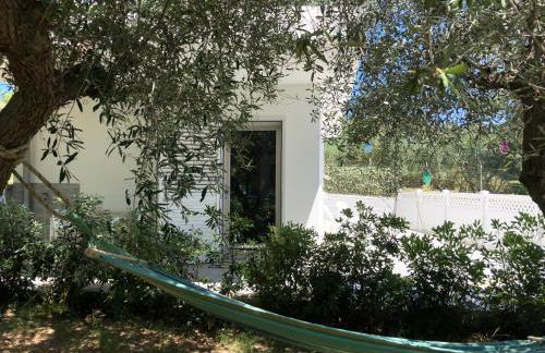 La Casetta tra Sassi e Ulivi B&B - Foto 17