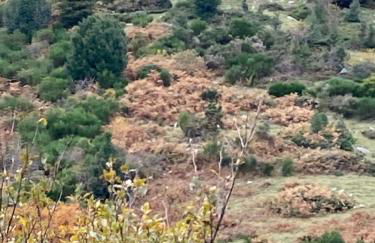 Chez FERNAND-Vues sur les montagnes - Foto 23