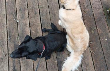 PUSZCZYKOWO siedlisko&spa - Foto 72