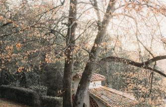 Majordoms - Castell de Villavecchia - 20 pax - Foto 35