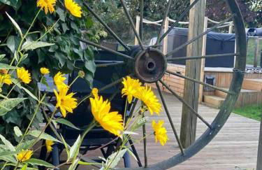 Totally Private, idyllic House with hot tub in an acre of private gardens - Foto 36