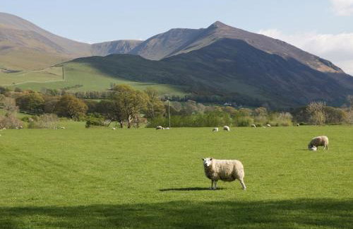 Taylor's Cottage - Foto 40