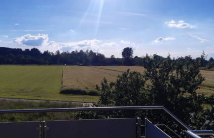 In den Wiesen - Foto 29