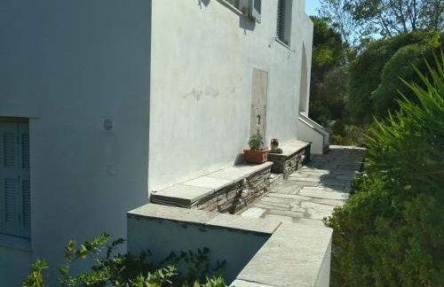 Palaiokrassa sunny appartment - Foto 26