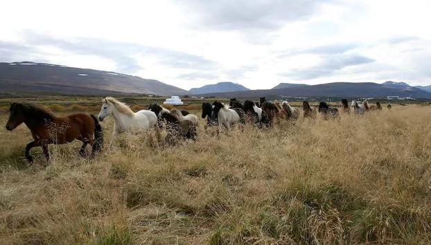 Terrenos do alojamento