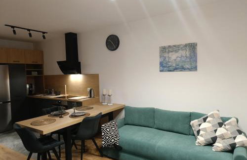 MODERN APARTAMENT Walendów Park - Foto 12