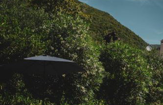 Dimoulitsa Villas Complex - Foto 29